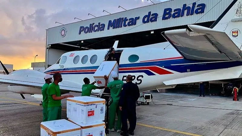 Imagem ilustrativa da imagem Avião que carregava vacinas contra a Covid-19 bate em jumentos no interior da Bahia