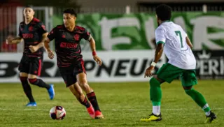 Imagem ilustrativa da imagem Entre flores e espinhos...