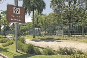 Imagem ilustrativa da imagem Parque abandonado e sujo