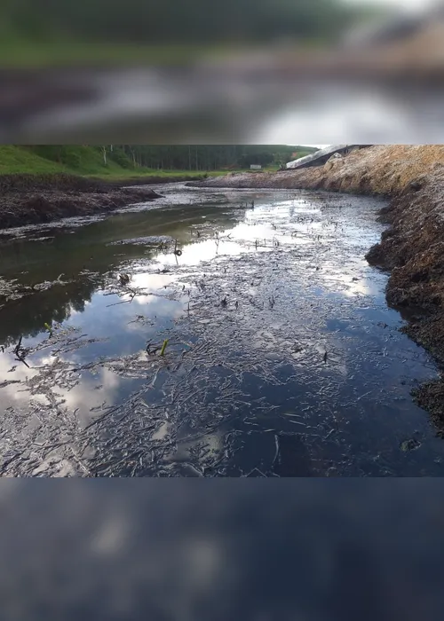 Imagem ilustrativa da imagem Vegetação e manancial foram contaminados após caminhão-tanque pegar fogo e matar motorista