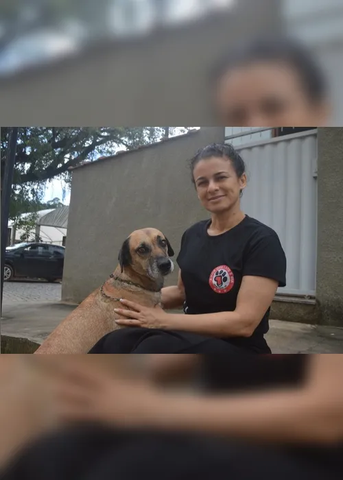 Imagem ilustrativa da imagem Advogada cuida de 100 animais abandonados