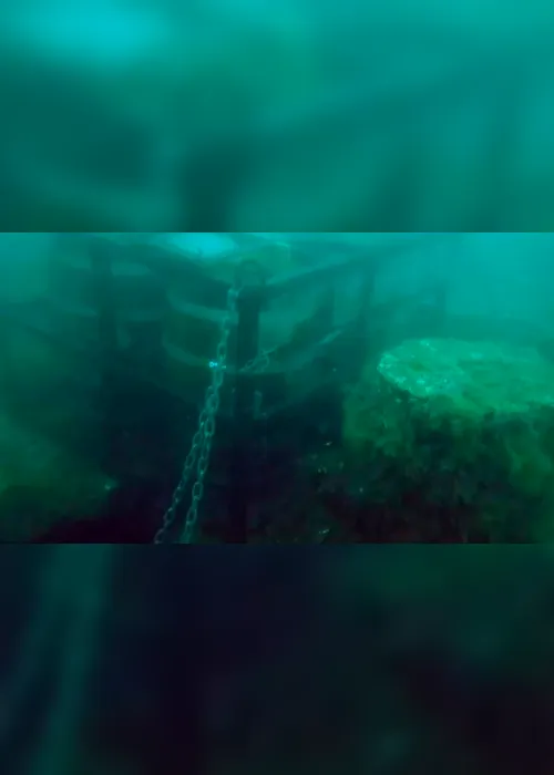 Imagem ilustrativa da imagem Ladrões roubam 600 litros de cerveja escondida no fundo do mar para maturar