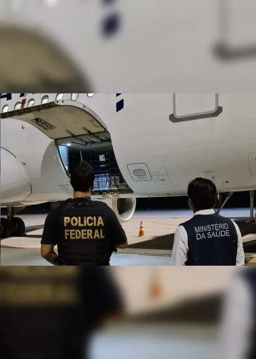 Imagem ilustrativa da imagem Lote com 84.600 doses da Coronavac começa a ser distribuído aos municípios nesta quarta-feira