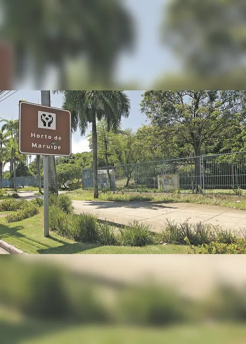 Imagem ilustrativa da imagem Parque abandonado e sujo