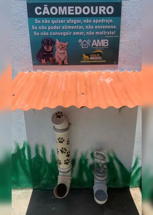 Imagem ilustrativa da imagem Moradores criam jardim com espaço para alimentar animais de rua na Serra