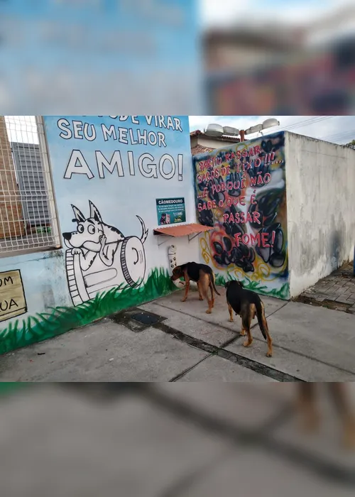 Imagem ilustrativa da imagem Moradores criam jardim com espaço para alimentar animais de rua na Serra
