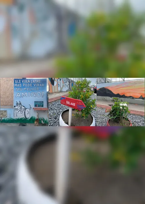Imagem ilustrativa da imagem Moradores criam jardim com espaço para alimentar animais de rua na Serra