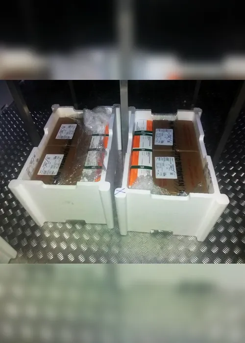 Imagem ilustrativa da imagem Estado recebe mais 48 mil doses de vacina contra a Covid-19