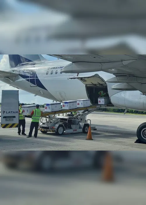 Imagem ilustrativa da imagem Mais 84.300 doses de vacina contra a Covid-19 chegam ao Estado