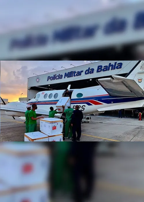 Imagem ilustrativa da imagem Avião que carregava vacinas contra a Covid-19 bate em jumentos no interior da Bahia