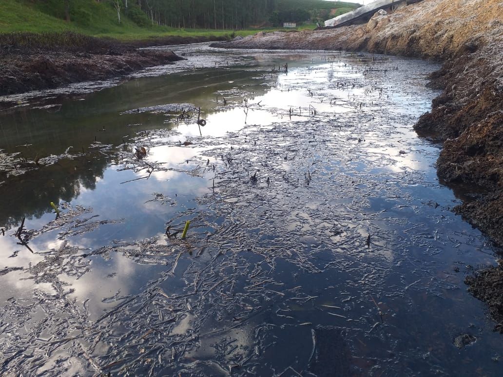 O caminhão transportava óleo diesel e, com o acidente, parte foi incendiada e parte vazou, atingindo solo, vegetação e recurso hídrico (Foto: Divulgação/Sesp)