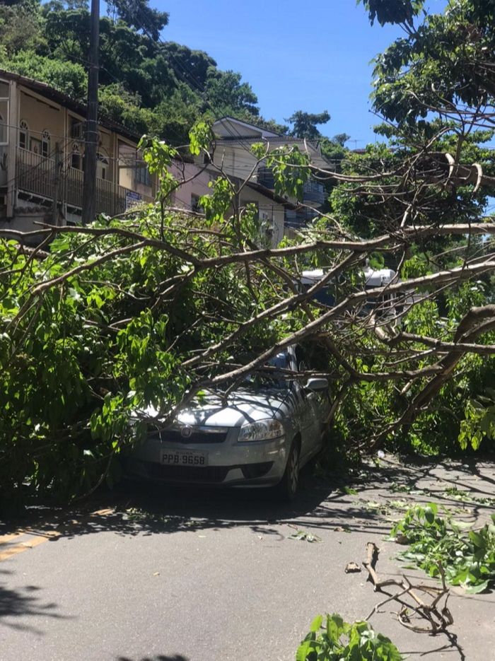 Carro foi atingido quando passava pela rua (Foto: Aderley de Angeli )