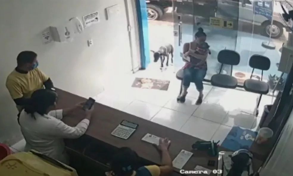 Imagem do sistema de segurança mostra o cão ferido entrando na clínica (Foto: Reprodução / Vídeo)