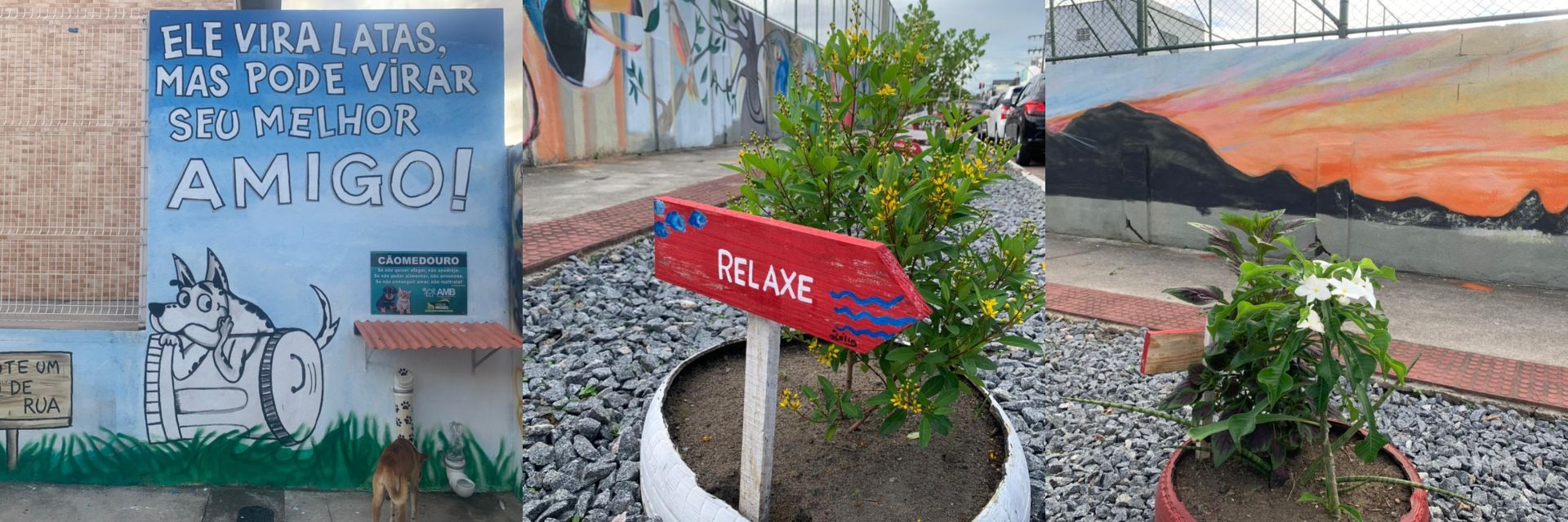 Detalhes do Jardim Comunitário para animais de rua (Foto: Dayane Rocha)