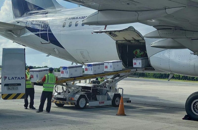 Lote de vacinas chega ao Espírito Santo (Foto: Reprodução/Instagram @casagrande_es)