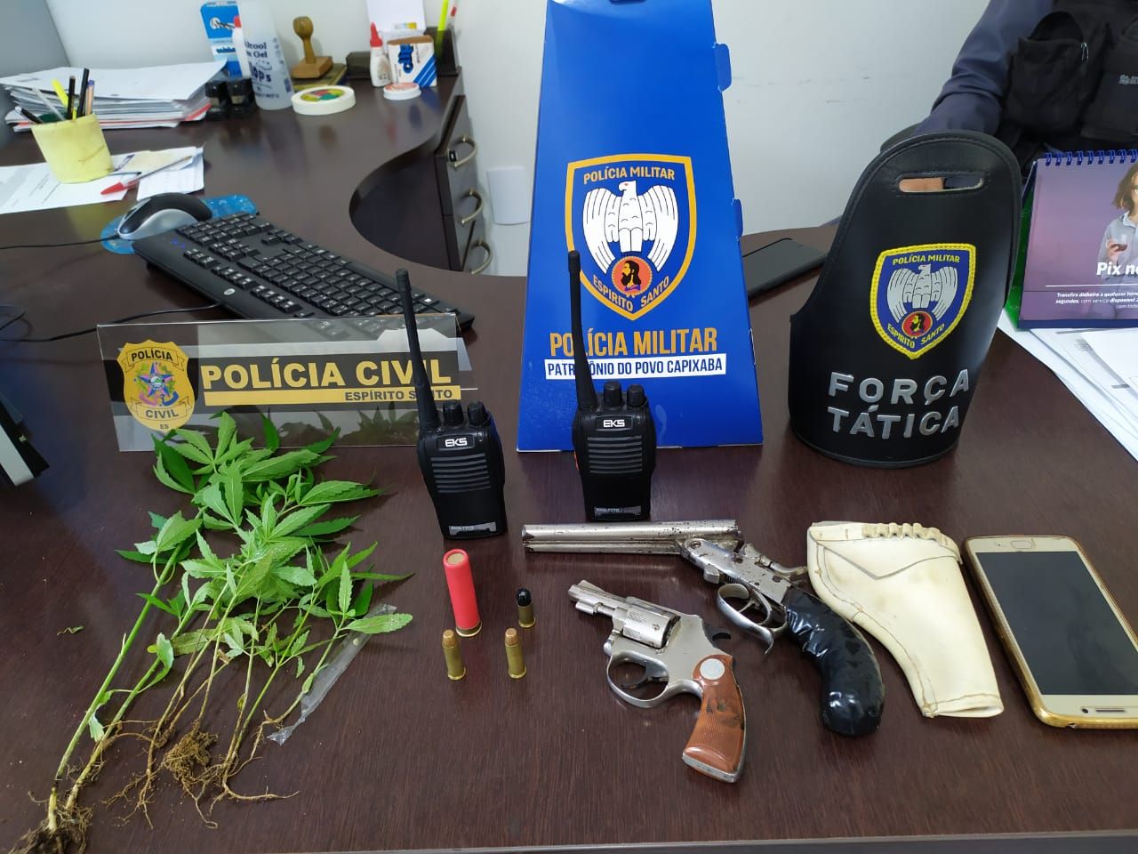Materiais apreendidos durante operação no Sul do Estado (Foto: Divulgação/ PCES)