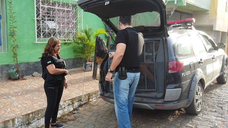 (Foto: Divulgação/Polícia Civil )