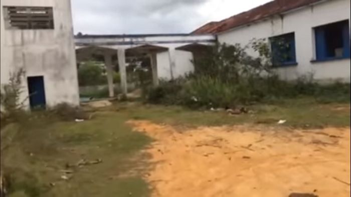 Mato cresce ao lado de janelas (Foto: Reprodução vídeo Youtube Helio Fiorot)