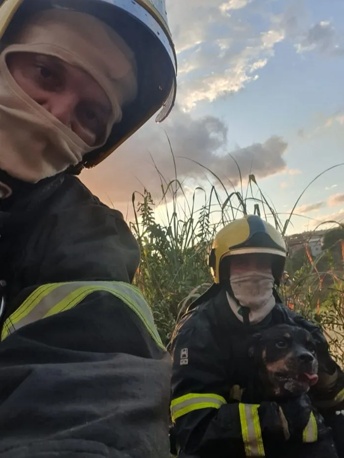 Imagem ilustrativa da imagem Família perdeu tudo em incêndio e conta com doações