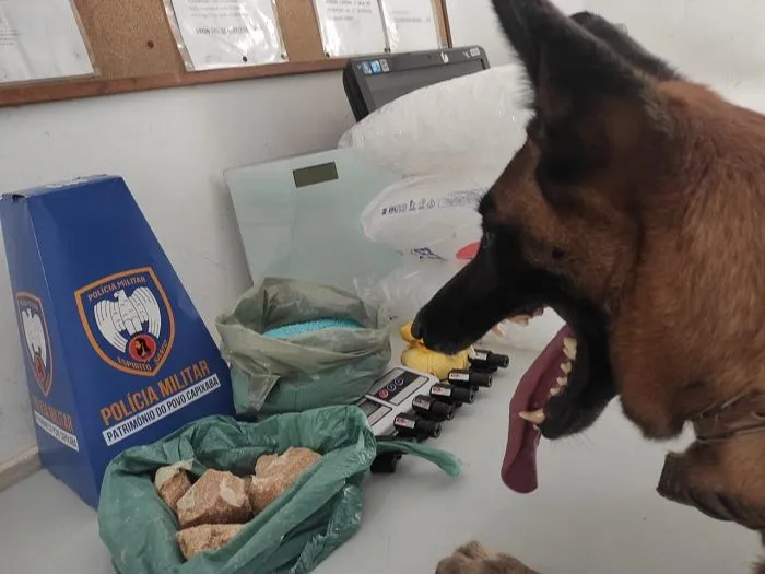 Imagem ilustrativa da imagem Drogas e mira laser são encontradas por cão farejador dentro de casa na Serra