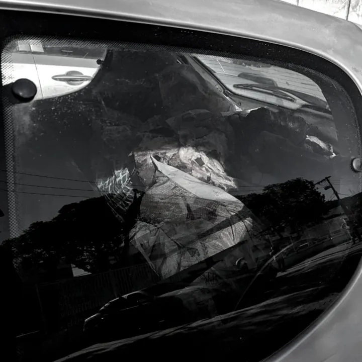 Imagem ilustrativa da imagem Cavalo esquartejado é encontrado em porta-malas de carro em Vila Velha