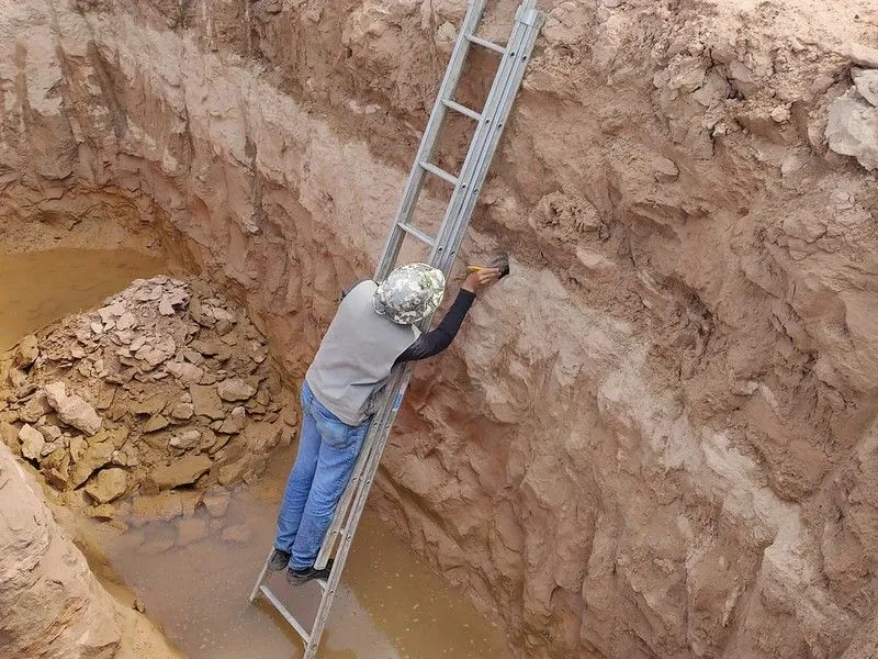 Imagem ilustrativa da imagem FOTOS | Obra em rodovia descobre fósseis de dinossauros