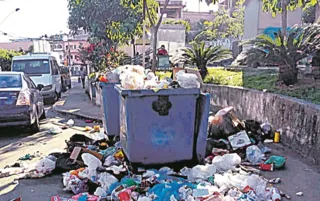 Imagem ilustrativa da imagem Mato e lixo jogados em ponto