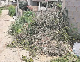 Imagem ilustrativa da imagem Ruas sujas com  mato e lixo