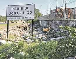 Imagem ilustrativa da imagem Descarte de lixo na BR-101