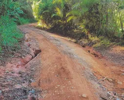 Imagem ilustrativa da imagem Estrada sem manutenção