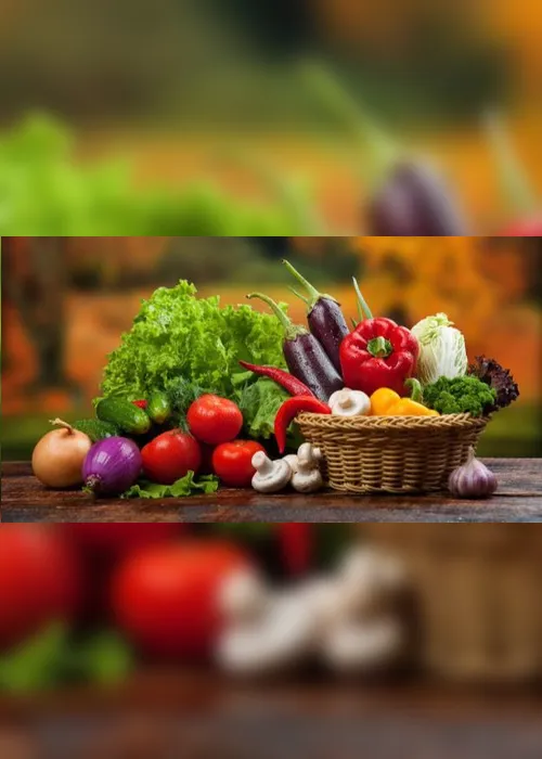 Imagem ilustrativa da imagem Por que consumir alimentos orgânicos?