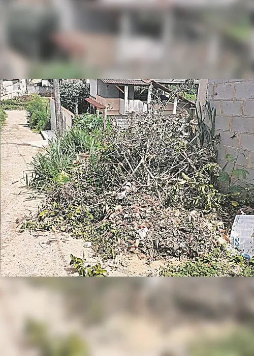 Imagem ilustrativa da imagem Ruas sujas com  mato e lixo