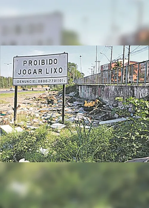 
          Imagem ilustrativa da imagem Descarte de lixo na BR-101
          