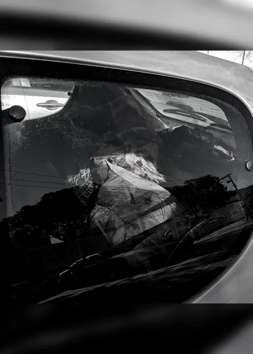 Imagem ilustrativa da imagem Cavalo esquartejado é encontrado em porta-malas de carro em Vila Velha