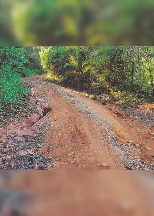 
          Imagem ilustrativa da imagem Estrada sem manutenção
          