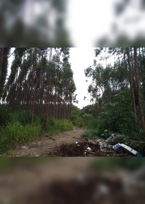 Imagem ilustrativa da imagem Homem é encontrado morto às margens de avenida na Serra