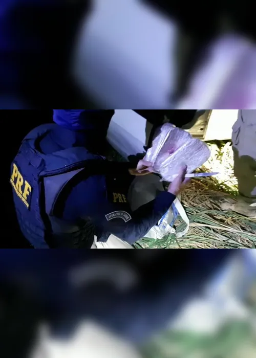 Imagem ilustrativa da imagem Homem é preso pela PRF com 3 kg de pasta base de cocaína na BR-262