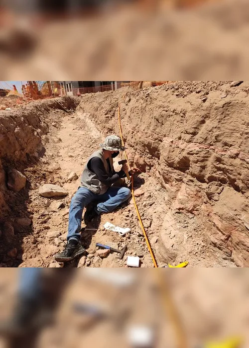 Imagem ilustrativa da imagem FOTOS | Obra em rodovia descobre fósseis de dinossauros