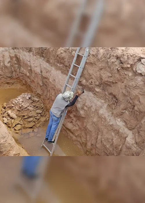 Imagem ilustrativa da imagem FOTOS | Obra em rodovia descobre fósseis de dinossauros