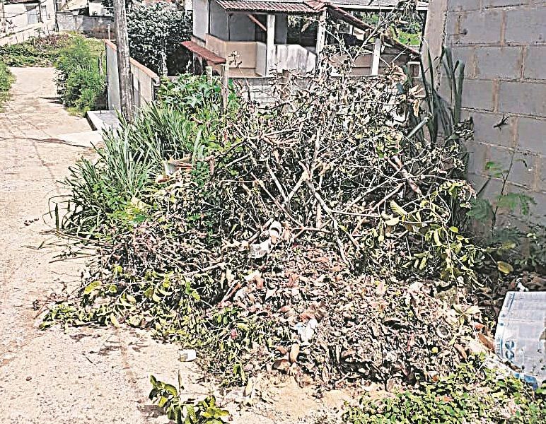 Lixo acumulado em uma rua de Mucuri, que causa transtorno a moradores (Foto: Adwalter Antunes Santana)