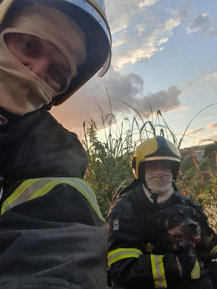 Bombeiros resgataram cachorro (Foto: Divulgação Corpo de Bombeiros)
