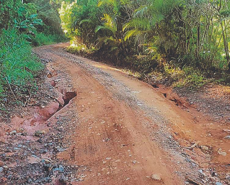 Estrada de Aparecidinha, onde o asfalto desapareceu: há reclamação também de falta de iluminação pública (Foto: Diego Alexandre Ferreira Bispo)