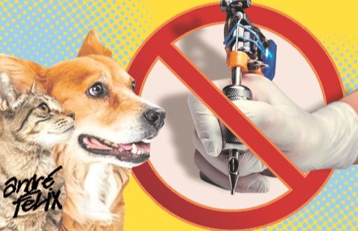 Projeto para proibir tatuagens em animais (Foto: André Félix)