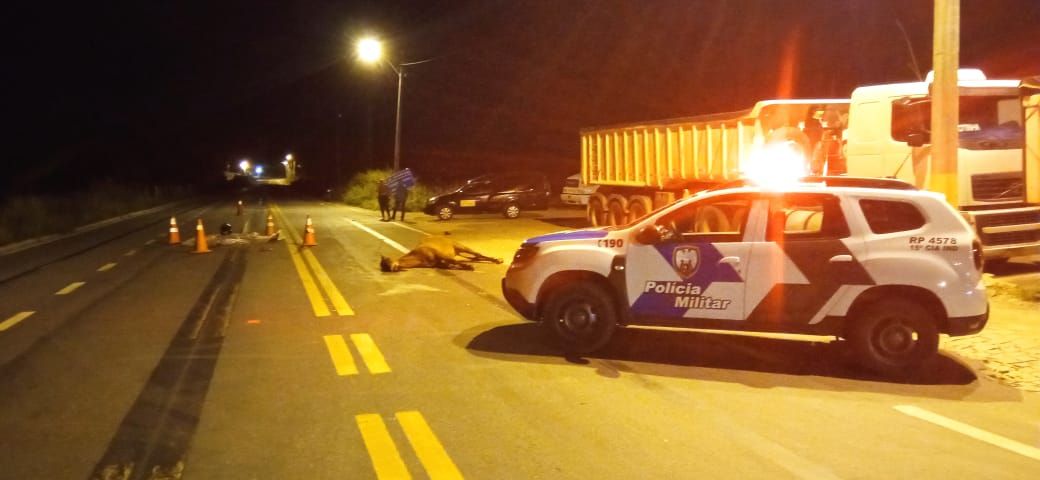 Acidente aconteceu em rodovia do Sul do Estado (Foto: Divulgação/ PMES)
