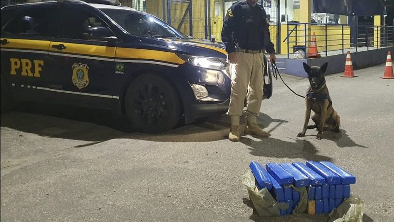Com o uso do cão farejador Urbano, os policiais encontraram a droga durante uma vistoria no compartimento de bagagem (Foto: Divulgação)
