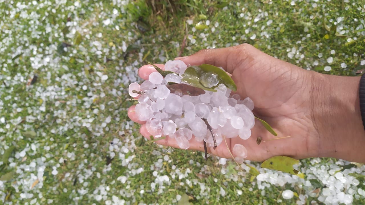 Queda de granizo em Castelo (Foto: José Adelfo Casagrande)