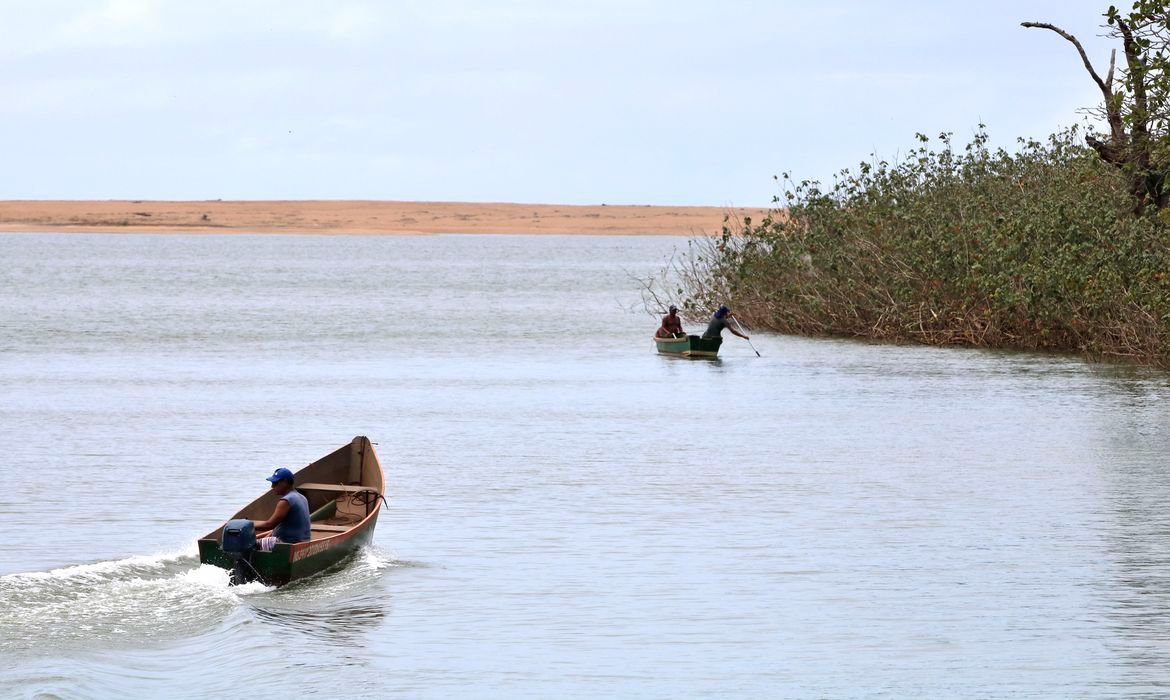 Cerca de 40 milhões m³ de rejeito escoaram pelo Rio Doce e contaminaram espécies que vivem no rio (Foto: Tânia Rego/Agência Brasil)