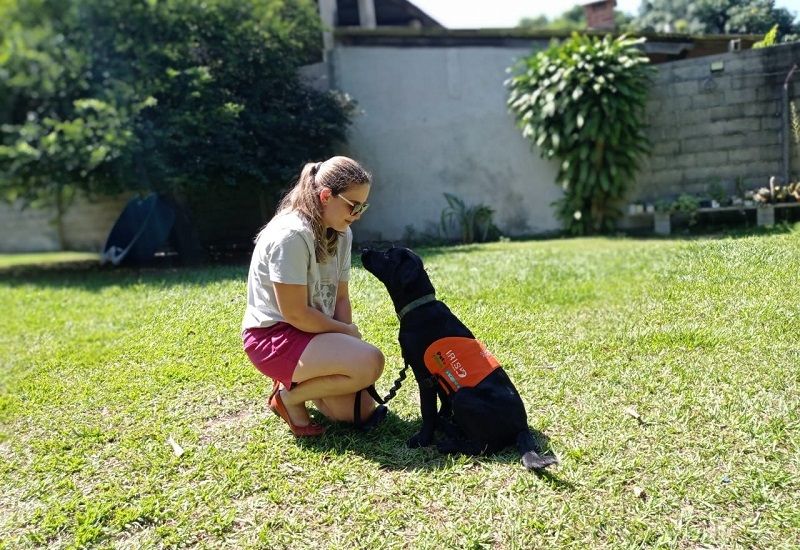 Lara atua como voluntária para treinamento de socialização para cão-guia da pastor alemão Zoe desde janeiro (Foto: Acervo Pessoal)