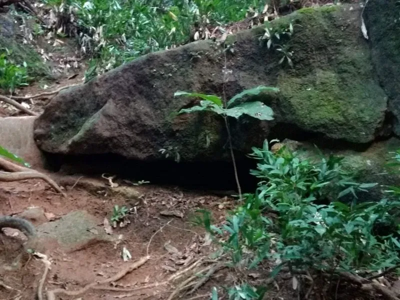 Imagem ilustrativa da imagem Pedra corre o risco de rolar e prefeitura alerta para perigo em trilha do Mestre Álvaro