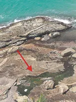 Imagem ilustrativa da imagem Esgoto lançado direto no mar